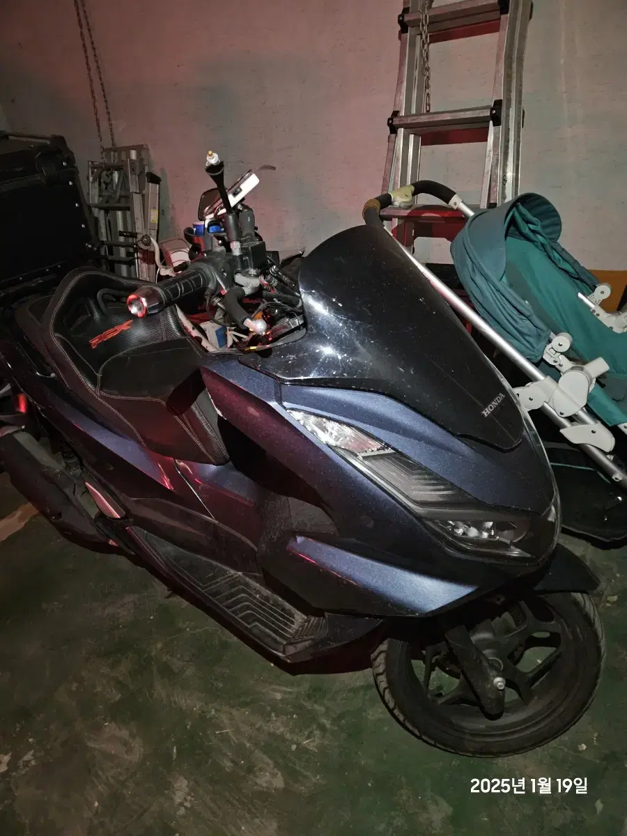 pcx 22년